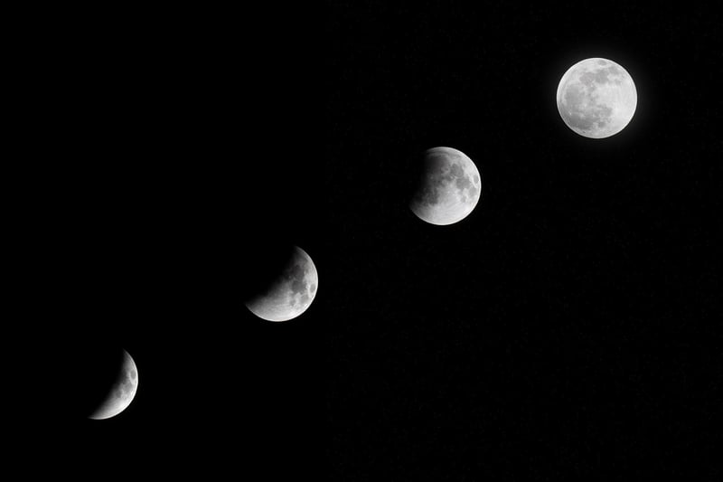 Moon Phases Delight