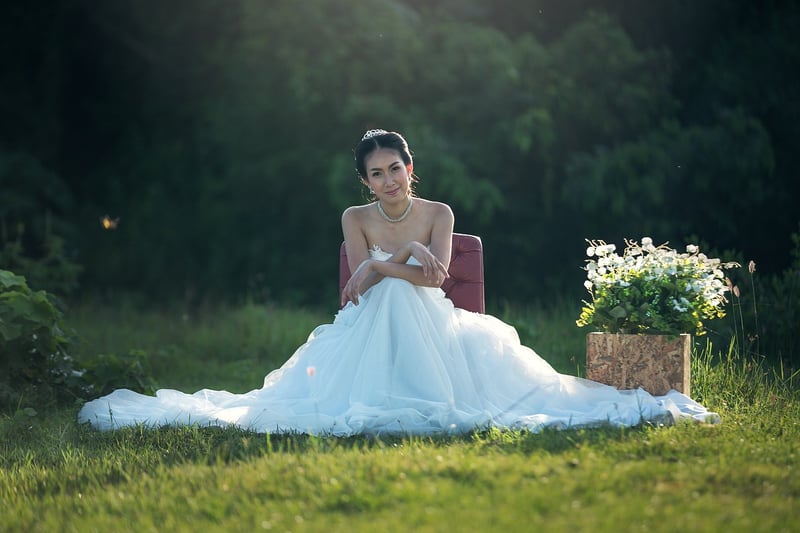 Celestial Lace Wedding Dress